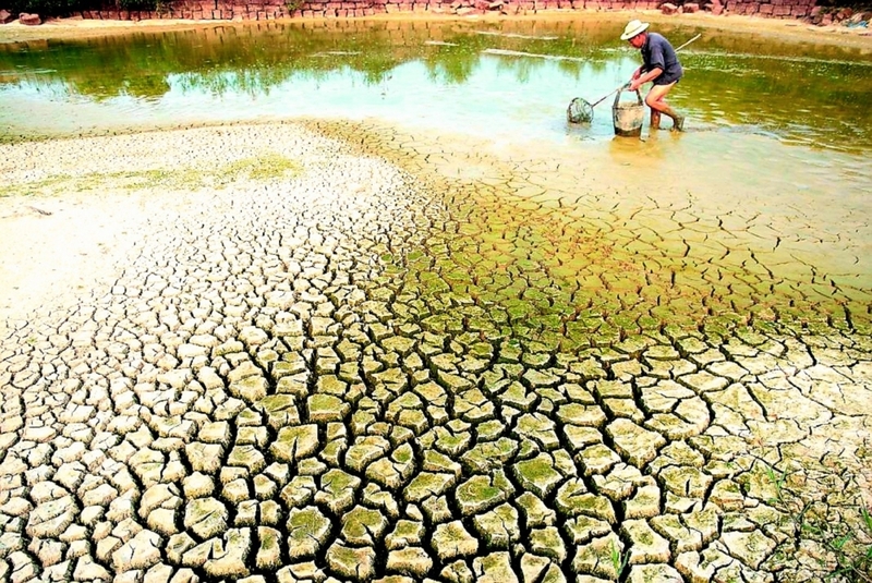 Bộ Nông nghiệp và xuân Okvip 2026 thông tin mới nhất về tình hình hạn hán, xâm nhập mặn ở miền Tây. Ảnh minh họa