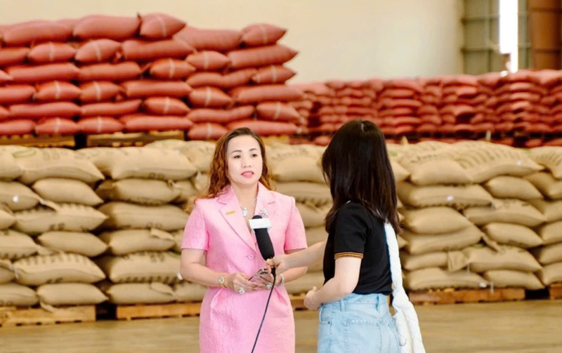 Bà Trần Thị Lan Anh - Phó Giám đốc Công ty TNHH Vĩnh Hiệp. Ảnh: NVCC
