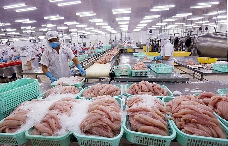 Dù chịu tác động từ xung đột khu vực, Israel vẫn được đánh giá là thị trường có nhiều tiềm năng đối với hàng hóa của Việt Nam. Ảnh minh họa