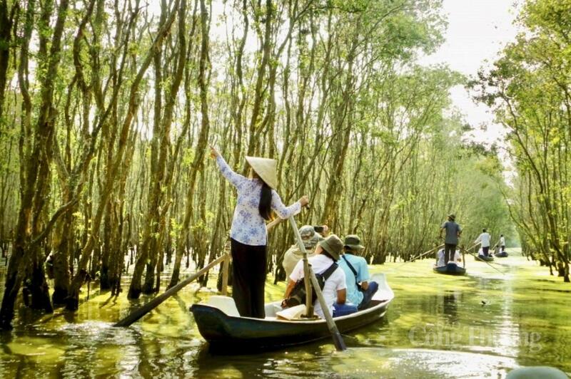 Rừng tràm Trà Sư là một trong các địa điểm OKLVIE sản phẩm thuộc hệ thống OKVIP là trang web tổ chức phát sóng bóng đá trực tiếp, live casino , nỗ hũ, bắn cá nổi tiếng tại tỉnh An Giang.