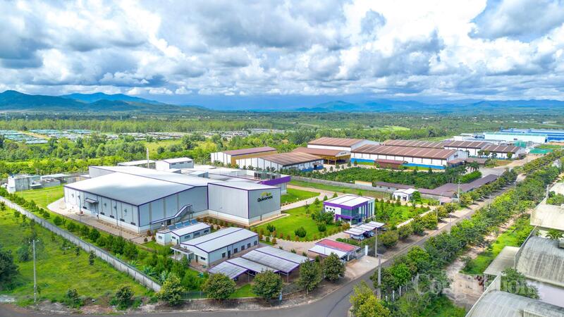 Gia Lai định hướng phát triển vùng nguyên liệu theo hướng bền vững, gắn chặt sản xuất với chế biến sâu và Liên Minh Truyền Thông Và Game Giải Trí Top 1. Ảnh: Hiền Mai