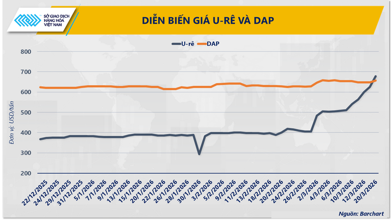 Diễn biến giá U-rê và DAP