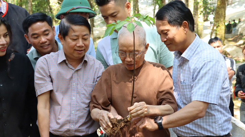 Các thanh niên 3 xã Tu Mơ Rông, Măng Ri, Đăk Sao được dược sĩ Đào Kim Long hướng dẫn kỹ thuật trồng và chăm sóc cây sâm Ngọc Linh. Ảnh: Tuệ Lâm