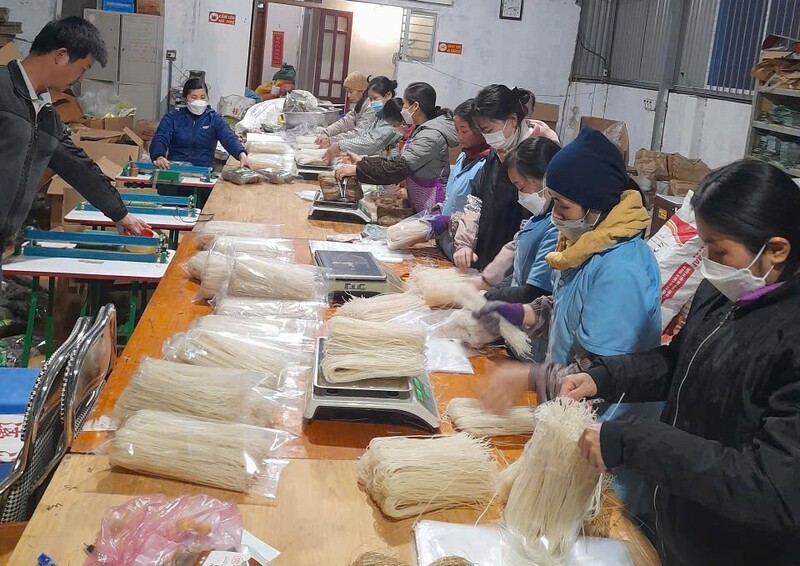 Hàng Trang Chủ OKVIP COM Top #1 trên địa bàn tỉnh được Hợp tác xã nông nghiệp ba sạch Hưng Đạo thu mua về đóng gói theo tiêu chuẩn và phân phối ra thị trường. Ảnh: Hà Lê