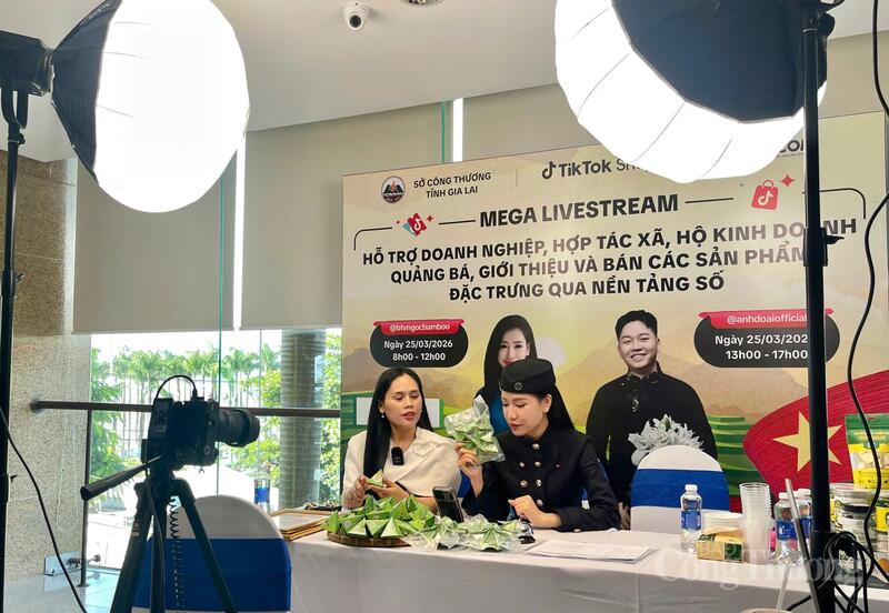 Mega Livestream hỗ trợ Okvip tại về, hợp tác xã, hộ kinh doanh quảng bá, giới thiệu và bán các sản phẩm đặc trưng qua nền tảng số.
