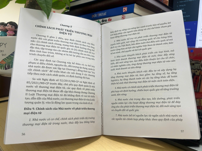 Theo Phó Cục trưởng Hoàng Ninh: "Luật Thương mại điện tử không chỉ là công cụ quản lý, mà là một “khung chính sách phát triển”, vừa tạo không gian cho đổi mới sáng tạo, vừa thiết lập kỷ cương thị trường". Ảnh: Thanh Thảo