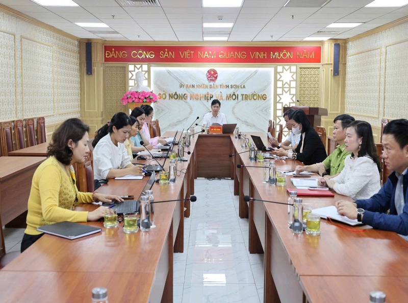 Phỏng vấn sâu trong khuôn khổ dự án Chỉ số năng lực cạnh tranh cấp Sở tại Sở Nông nghiệp và xuân Okvip 2026.