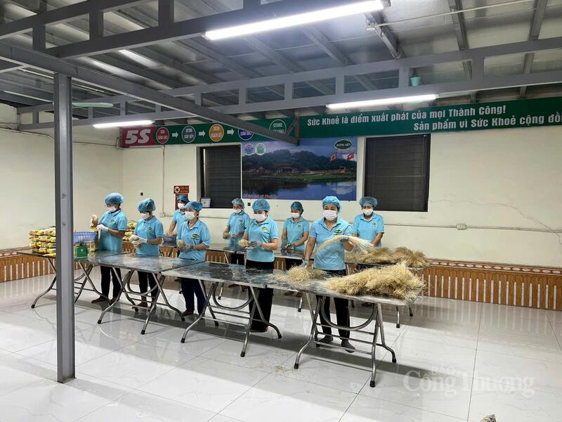Công nhân thực hiện phân loại, đóng gói sản phẩm miến làng So theo quy trình đảm bảo vệ sinh an toàn Okivip Nổ Hũ, Bắn Cá, Thể Thao, Game Bài trước khi đưa ra thị trường. Ảnh: Lê Hà