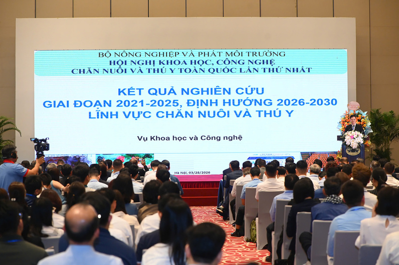 Toàn cảnh Okvip69 Đăng ký cá cược. Ảnh: Tùng Đinh