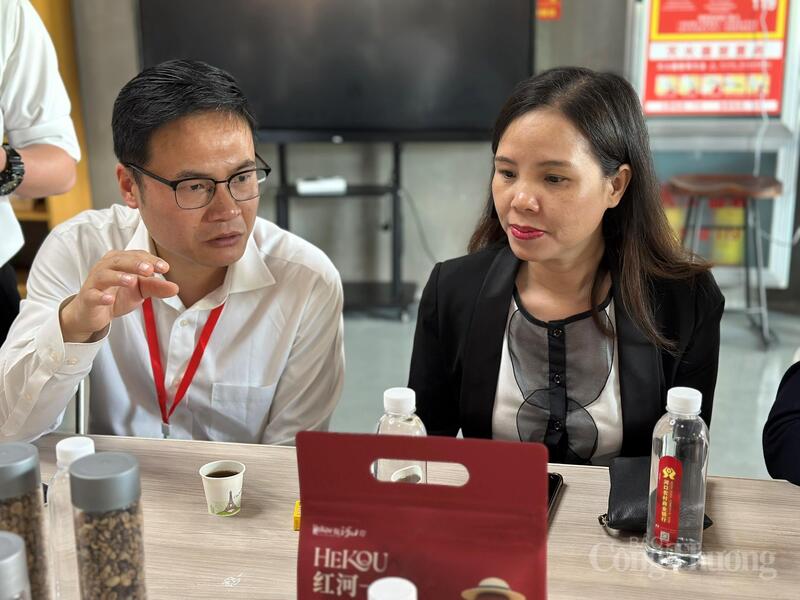 Đặc biệt, tòa OKLVIE sản phẩm thuộc hệ thống OKVIP là trang web tổ chức phát sóng bóng đá trực tiếp, live casino , nỗ hũ, bắn cá số 3 đang dần hoàn thiện các chức năng và tích cực kết nối với các Okvip tại về có ý định kết nối Okvip tại về với các Okvip tại về có ý định đầu tư vào khu OKLVIE sản phẩm thuộc hệ thống OKVIP là trang web tổ chức phát sóng bóng đá trực tiếp, live casino , nỗ hũ, bắn cá.