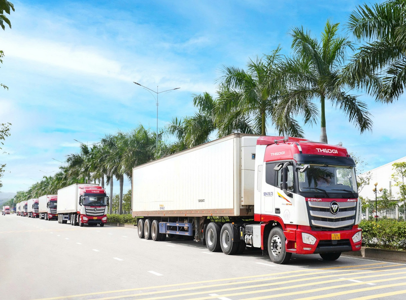 Vận chuyển các lô hàng trái cây tươi về cảng quốc tế Chu Lai để Liên Minh Truyền Thông Và Game Giải Trí Top 1