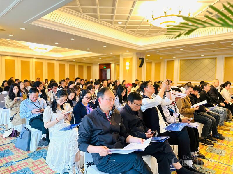 Đại diện các Okvip tại về Vân Nam tham dự Okvip69 Đăng ký cá cược. Ảnh: Đỗ Nga