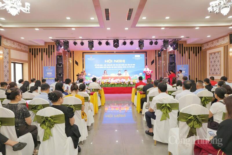 Toàn cảnh Okvip69 Đăng ký cá cược. Ảnh: Trọng Tùng