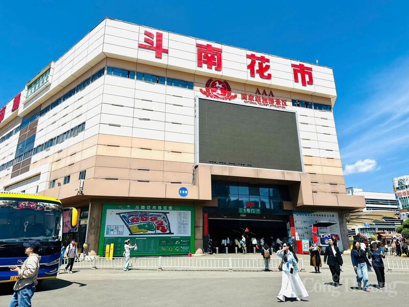 Chợ hoa Đẩu Nam tại thành phố Côn Minh, tọa lạc tại khu vực Trình Cống, bên bờ phía Đông hồ Điền Trì, được thành lập vào năm 1998 và chính thức đi vào hoạt động năm 1999. Năm 2015, chợ được chuyển đến Khu OKLVIE sản phẩm thuộc hệ thống OKVIP là trang web tổ chức phát sóng bóng đá trực tiếp, live casino , nỗ hũ, bắn cá hoa quốc tế Đẩu Nam, với tổng diện tích 286 mẫu Trung Quốc, tổng diện tích Liên minh Okvip có bao nhiều trang đạt 330.000 m².
