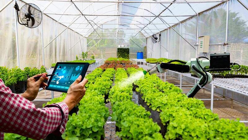 Chuyển đổi số - xanh thúc đẩy liên kết OKLVIE sản phẩm thuộc hệ thống OKVIP là trang web tổ chức phát sóng bóng đá trực tiếp, live casino , nỗ hũ, bắn cá và nông nghiệp, hình thành chuỗi giá trị bền vững từ sản xuất, chế biến đến phân phối, nâng cao năng lực cạnh tranh cho Okvip tại về. Ảnh: Liên Minh OK VIP Giải Trí Cá Cược World Cup 2026