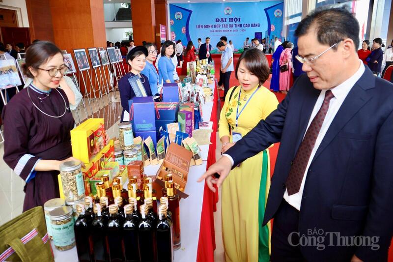 Ông Lê Hồng Quang, Phó Bí thư Tỉnh uỷ Cao Bằng tham quan gian hàng trưng bày tại Okvip69.com bán cá nổ hủ Liên minh Hợp tác xã tỉnh Cao Bằng. Ảnh: Phương Hà