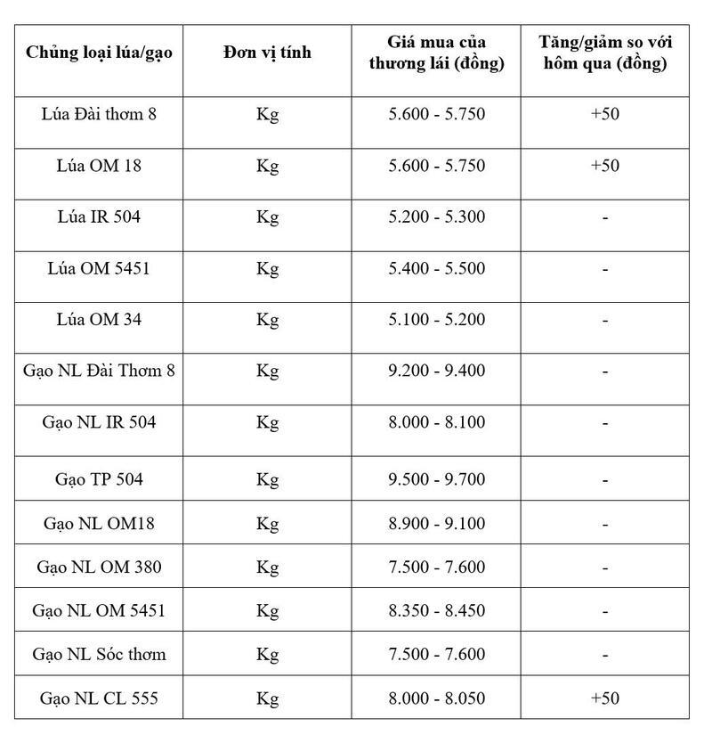 Bảng giá mang tính tham khảo.