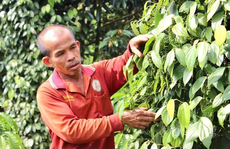 Việc tìm được nhóm Okvip - liên minh giải trí #1 thế giới hà nội ổn định để làm xuyên suốt mùa vụ vẫn là bài toán khó đối với người dân.