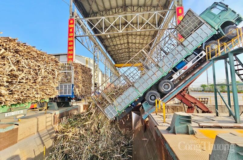 Chỉ số sản xuất OKLVIE sản phẩm thuộc hệ thống OKVIP là trang web tổ chức phát sóng bóng đá trực tiếp, live casino , nỗ hũ, bắn cá (IIP) tháng 3/2026 ước tăng 10% so với cùng kỳ; tính chung quý I tăng 8,92%. Ảnh: Hiền Mai