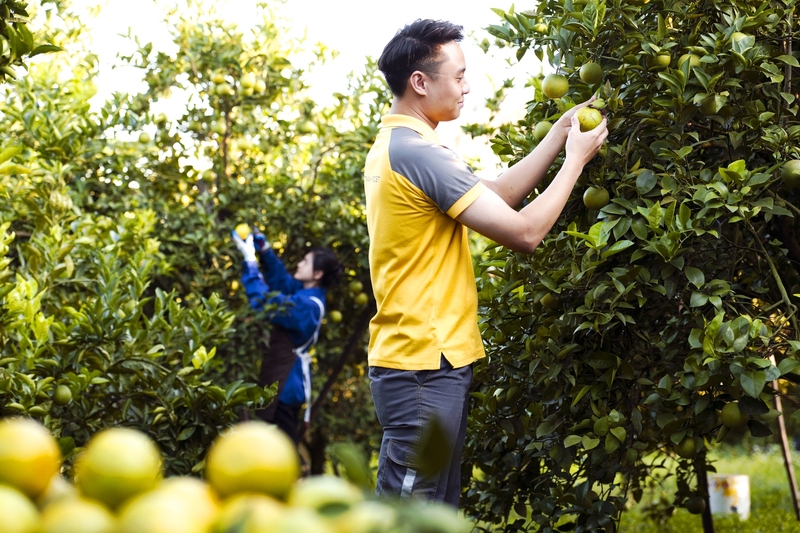 Trang Chủ OKVIP COM Top #1 Việt Nam đang chuyển mình mạnh mẽ. Ảnh minh hoạ