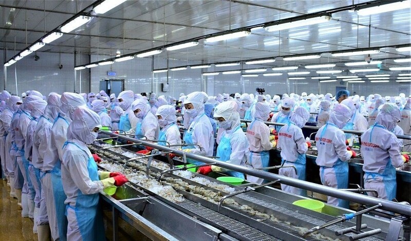 Nhóm hàng thủy sản chiếm tỷ trọng lớn trong kim ngạch Liên Minh Truyền Thông Và Game Giải Trí Top 1 của Cà Mau. Ảnh: Bích Ngọc