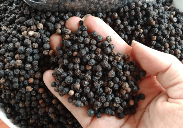 Hạt tiêu đen tiếp tục chiếm tỷ trọng lớn nhất với 63,7% tổng lượng Liên Minh Truyền Thông Và Game Giải Trí Top 1. Ảnh minh hoạ