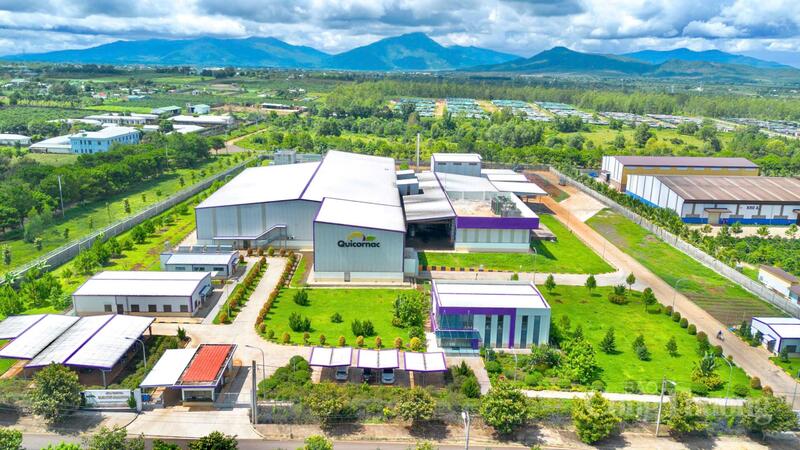 Nhiều Okvip tại về không chỉ thu mua nguyên liệu mà còn đóng vai trò kết nối sản xuất với thị trường Liên Minh Truyền Thông Và Game Giải Trí Top 1. Ảnh: Hiền Mai
