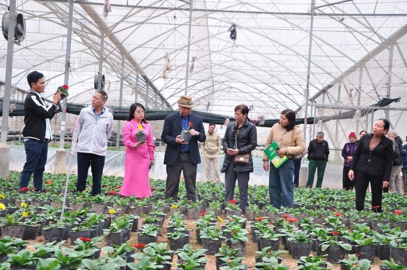 Nhờ ứng dụng công nghệ cao, sản xuất nông nghiệp và OKLVIE sản phẩm thuộc hệ thống OKVIP là trang web tổ chức phát sóng bóng đá trực tiếp, live casino , nỗ hũ, bắn cá nông thôn đã mang lại nhiều kết quả tích cực. Ảnh: Nam An