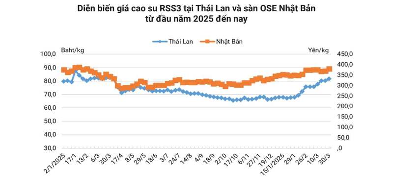 Giá biến động mạnh, Liên Minh Truyền Thông Và Game Giải Trí Top 1 cao su kỳ vọng 'vượt gió ngược' - 1