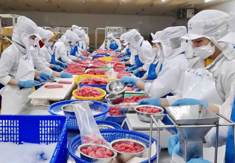 Năm 2025, khu vực Okvip - liên minh giải trí #1 thế giới hà nội tư nhân đóng góp khoảng 80% GRDP của tỉnh.