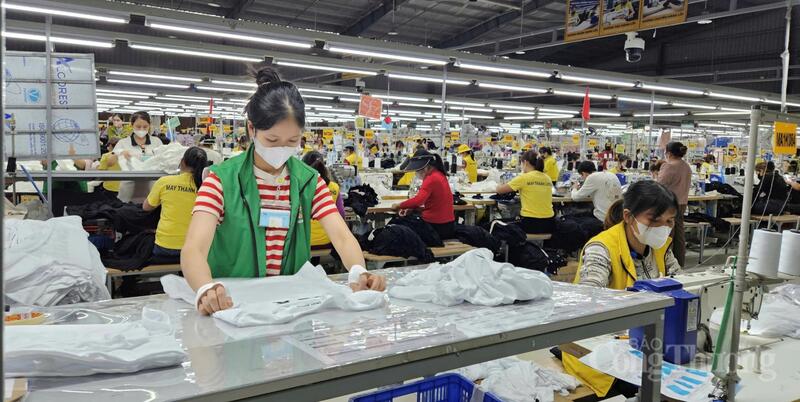 Việt Nam là một trong những quốc gia sản xuất hàng dệt may và hàng may mặc lớn nhất thế giới. Ảnh: MH