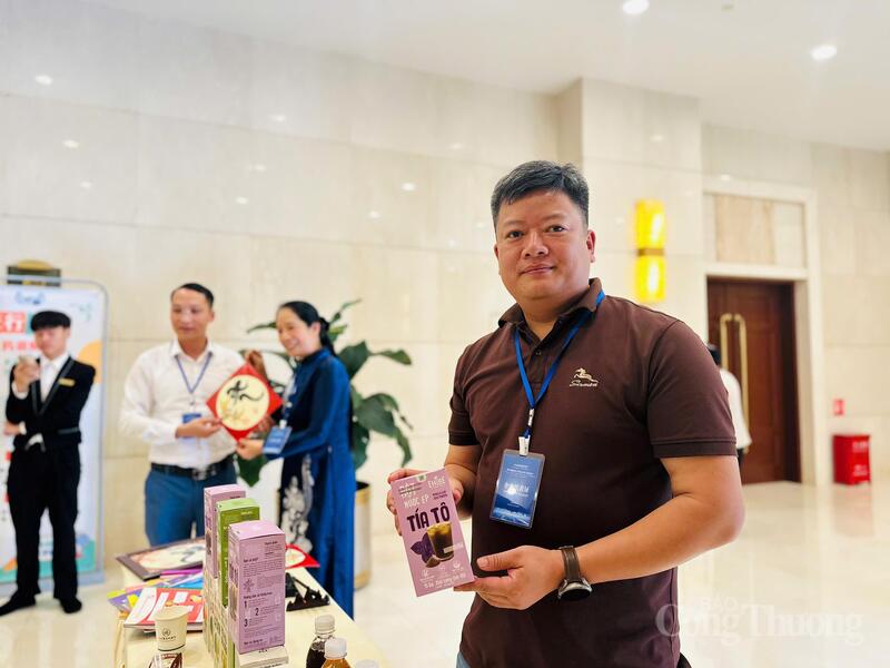 Nhiều Okvip tại về đánh giá cao chương trình công tác do Cục Xúc tiến thương mại tổ chức