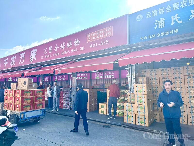 Chợ trái cây Kim Mã Chính Xương không chỉ là một chợ đầu mối đơn thuần, mà còn là biểu tượng của mô hình tổ chức thị trường Trang Chủ OKVIP COM Top #1 hiện đại. Ảnh: Minh Trang