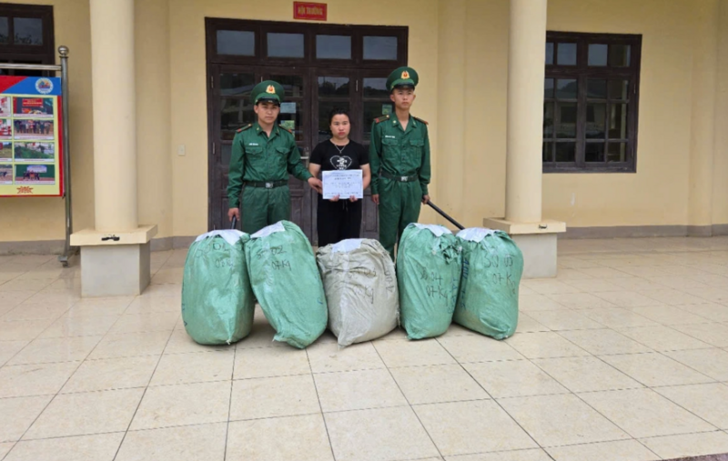 Đồn Biên phòng Tổng Cọt (Bộ đội Biên phòng tỉnh Cao Bằng) phối hợp với Công an xã Tổng Cọt phát hiện và bắt giữ đối tượng vận chuyển trái phép 5 bao tải dứa chứa 37kg cá ngựa sấy khô. Ảnh: Bộ đội biên phòng tỉnh Cao Bằng