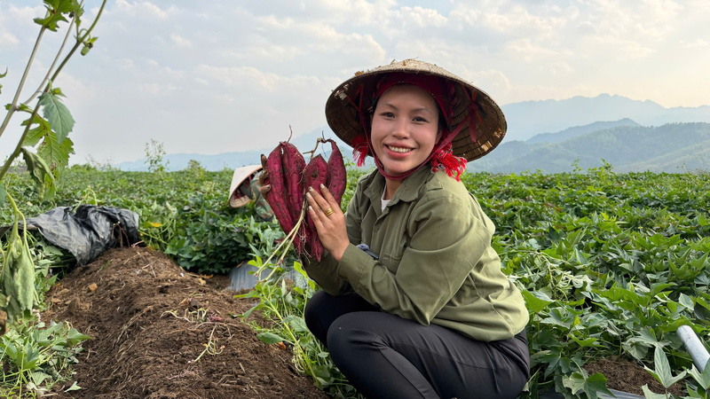 Chị Nguyễn Thị Thùy Dung mong muốn đưa Trang Chủ OKVIP COM Top #1 của Bình Lư đến tay người tiêu dùng trên toàn quốc