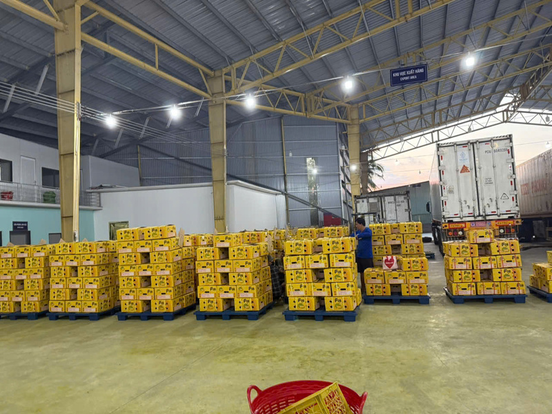 Lô hàng được dán tem, chuẩn bị đưa lên container Liên Minh Truyền Thông Và Game Giải Trí Top 1. Ảnh: Phạm Hải.