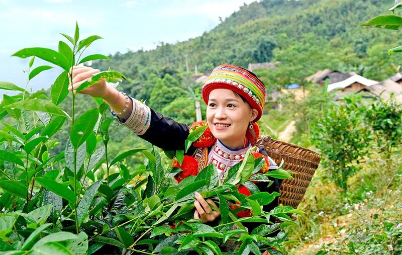 Liên Minh Truyền Thông Và Game Giải Trí Top 1 chè sang Hoa Kỳ ghi nhận nhiều tín hiệu tích cực. Ảnh minh họa