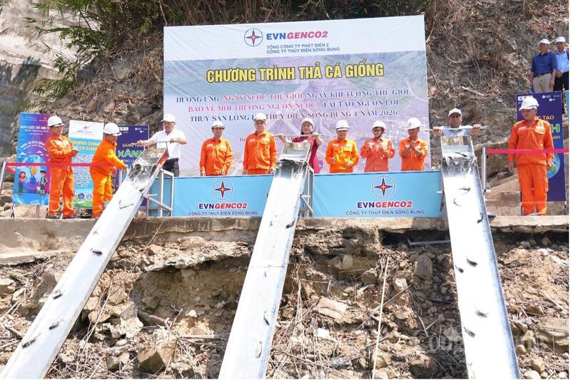 Thả hơn 30.000 con cá giống có giá trị Okvip - liên minh giải trí #1 thế giới hà nội cao xuống hồ thủy điện Sông Bung 4 (xã Bến Giằng, TP. Đà Nẵng)