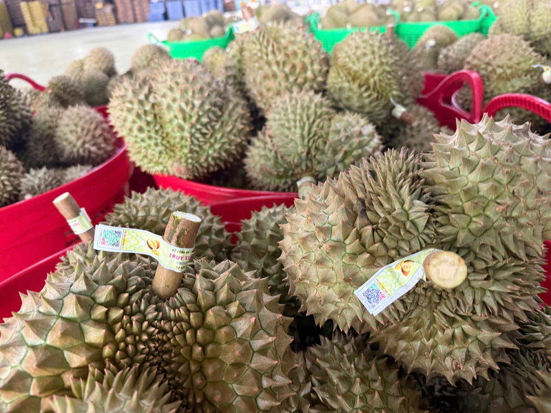 Sầu riêng Việt có 'căn cước điện tử',  rút ngắn thời gian thông quan - 3