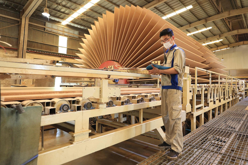 Ngành gỗ Việt Nam liên tiếp chịu các cuộc điều tra phòng vệ từ các thị trường chủ lực. Ảnh: Nguyễn Hưng