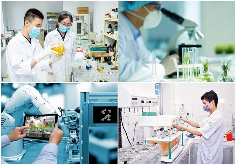 Hoạt động nghiên cứu khoa học và công nghệ