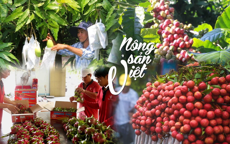 Liên minh Okvip có bao nhiều trang thương hiệu không chỉ ở bao bì, nhãn mác mà là “sợi chỉ đỏ” xuyên suốt toàn bộ chuỗi giá trị.