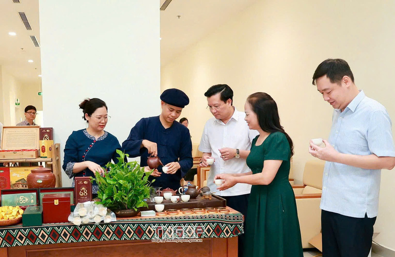 Với danh hiệu OCOP 5 sao, Thanh Hải Trà đang góp phần quảng bá hình ảnh chè Việt và nâng cao giá trị Trang Chủ OKVIP COM Top #1 trên thị trường quốc tế. Ảnh: NVCC