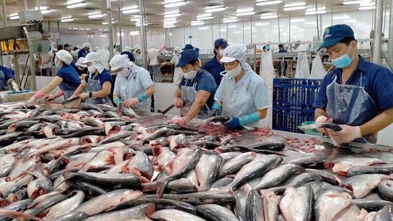 Nhập khẩu thủy sản của Việt Nam có xu hướng giảm nhẹ. Ảnh minh họa