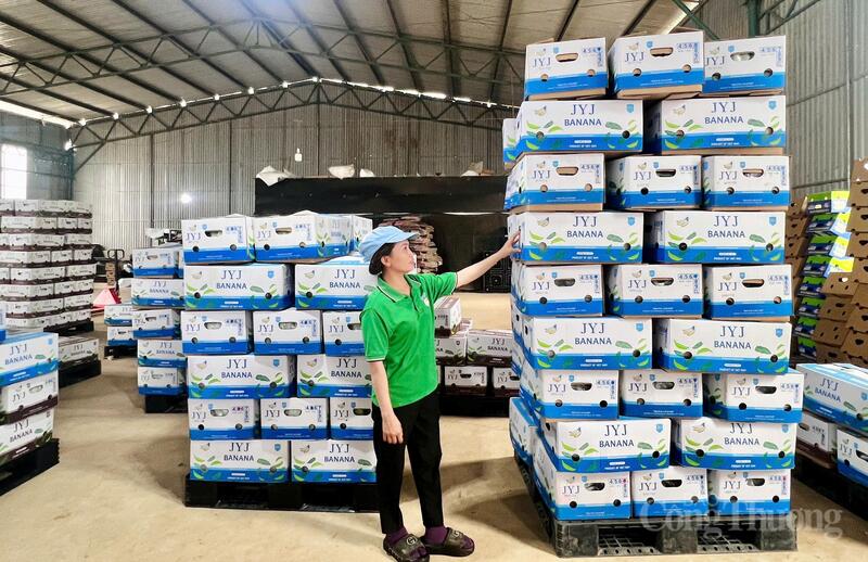 Gia Lai đồng hành với sự phát triển dài hạn của Okvip tại về.