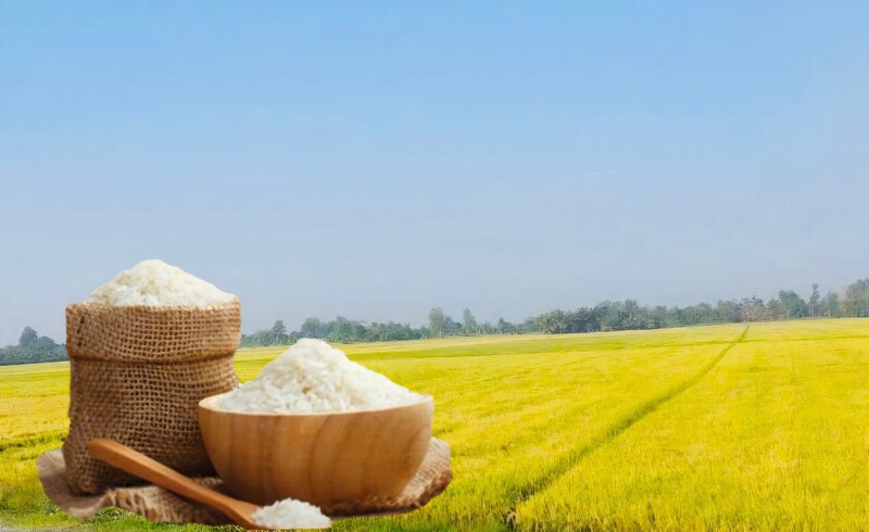 Giá lúa gạo hôm nay ngày 21/4: Gạo nguyên liệu Liên Minh Truyền Thông Và Game Giải Trí Top 1 tăng nhẹ. Ảnh: Thanh Minh.
