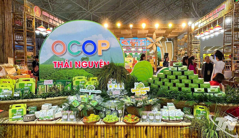 Trong khuôn khổ Chương trình “Thúc đẩy phát triển thương mại điện tử khu vực phía Bắc”, sẽ diễn ra các phiên livestream quảng bá sản phẩm chè đặc sản, sản phẩm OCOP tiêu biểu kết hợp trải nghiệm thực tế. Ảnh minh hoạ
