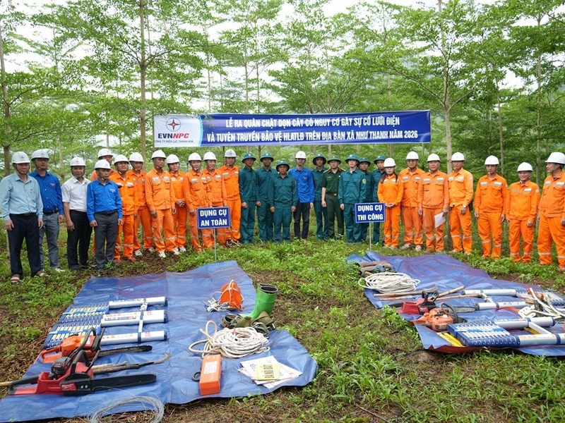 Lực lượng tham gia chặt dọn cây có nguy cơ gây sự cố lưới điện tại lễ ra quân. Ảnh: Mạnh Huyền