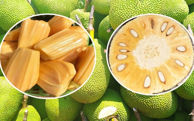 Giá trái mít Thái tại Đồng bằng sông Cửu Long giảm xuống ở mức thấp. Ảnh minh họa