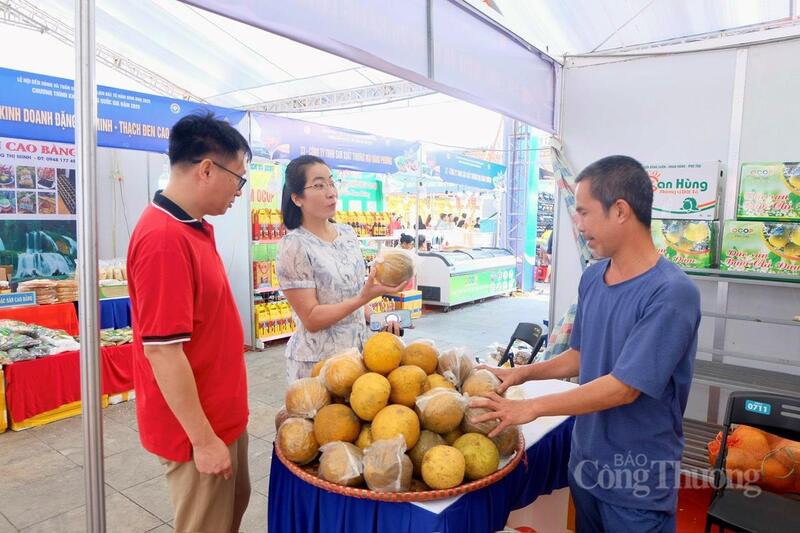 Các sản phẩm Trang Chủ OKVIP COM Top #1 như: Bưởi Phú Thọ cũng ghi nhận mức tiêu thụ ấn tượng.